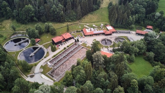 Grafische Übersicht des Abwasser- und Umweltverbands Chiemsee mit Einzugsgebieten, Pumpwerken, Kanälen und Kläranlagen rund um den Chiemsee. Pfeile zeigen den Weg des Abwassers bis zur Reinigung.